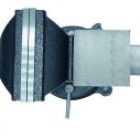 Тиски слесарные Procraft PBV125