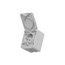 Розетка VIDEX BINERA IP65 наружная 1ая с заземлением серая (VF-BNW21G-G)