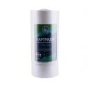 Картридж полипропиленовый Bio+ systems PP-10L (20 мкм) BigBlue 10